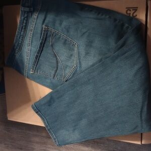 Lane Bryant jeans straight leg 26 short